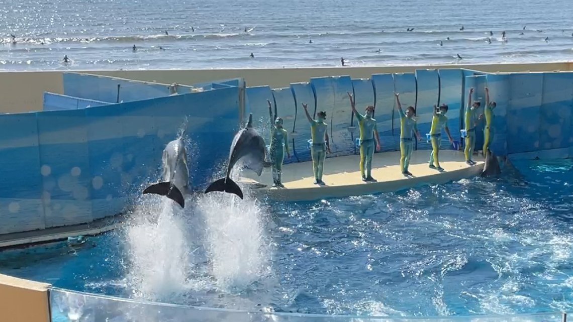 🐠 신에노시마 수족관